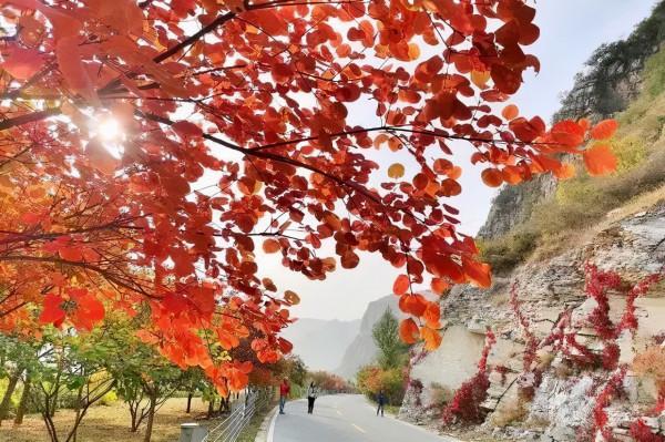 公路之旅！秋意濃，房山紅 | 快來解鎖貫穿美景的靈魂公路