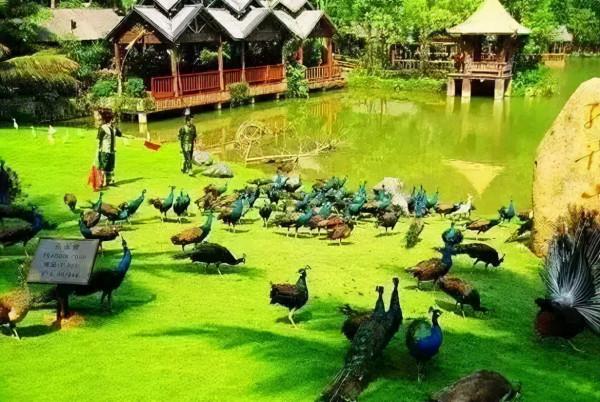 適合中老年人過冬的8個旅行地,給自己一份不老的底氣,出發吧 適合中老年人過冬的8個旅行地,給自己一份不老的底氣,出發吧