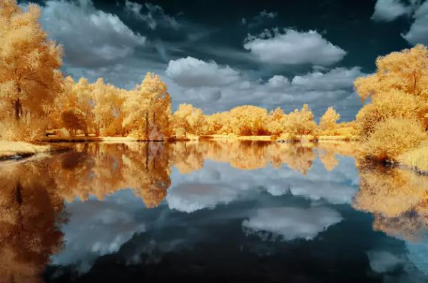 品,秋的味道 品,秋的味道