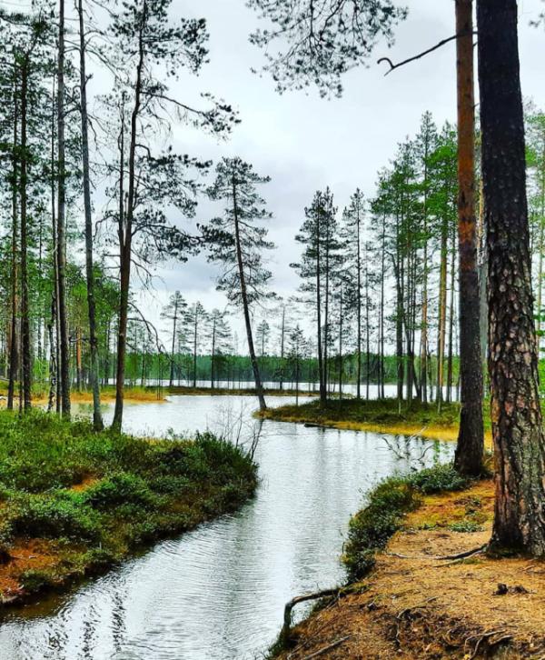 全球最棒的15處露營地！各有各的迷人勁兒