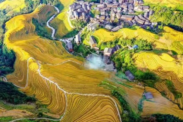 《天下第一奇書：智囊大全集》（二十一）作者：馮夢龍