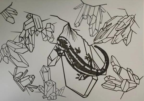 如何給古生物畫上正確的顏色 如何給古生物畫上正確的顏色