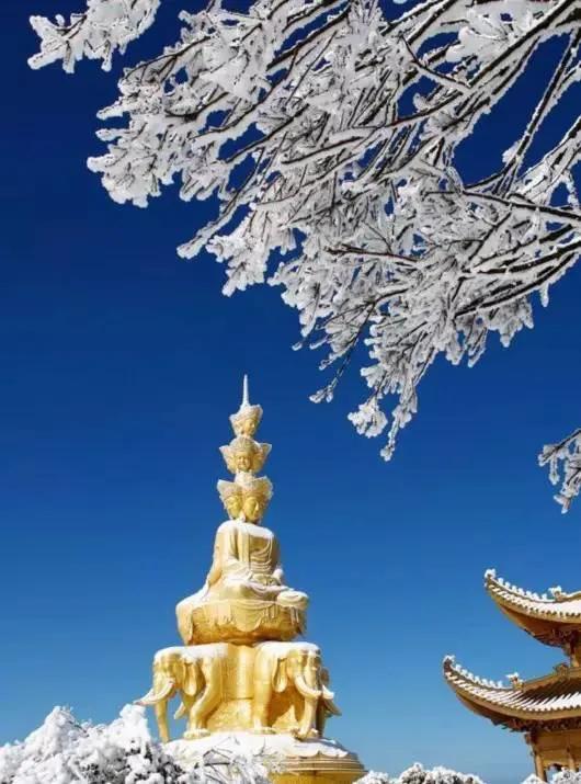 遊峨眉山，為了80元的住宿費，逼得我飆飛演技&hellip;&hellip;我太難了