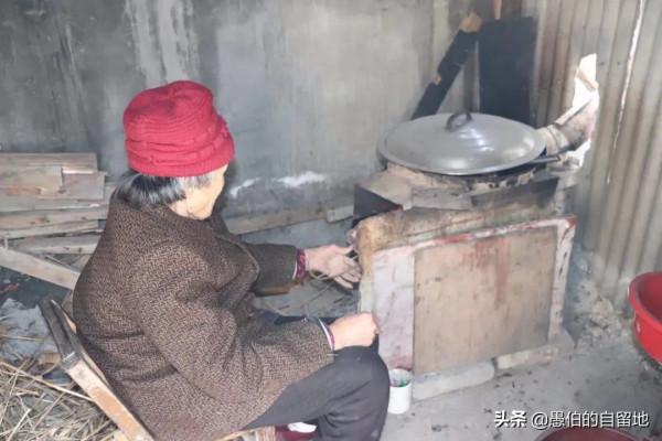 元旦放假三天，我在蘇魯豫皖交界的老家農村，拍了這些珍貴的圖片