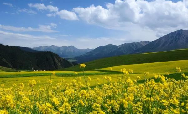 中國最美的9大草原，一輛車，三五好友，就可以馳騁在草原上