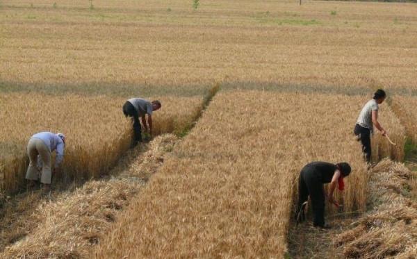 每年增加10萬元的收入,卻是因73歲老母親的一番感人至深的話 每年增加10萬元的收入,卻是因73歲老母親的一番感人至深的話