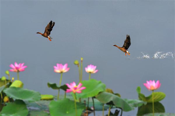 江蘇十大冷門景點，人少景美好玩