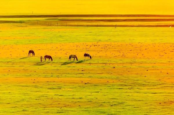 男人更該去旅行!7個適合男人放空自己的旅行地,挑一個出發吧 男人更該去旅行!7個適合男人放空自己的旅行地,挑一個出發吧