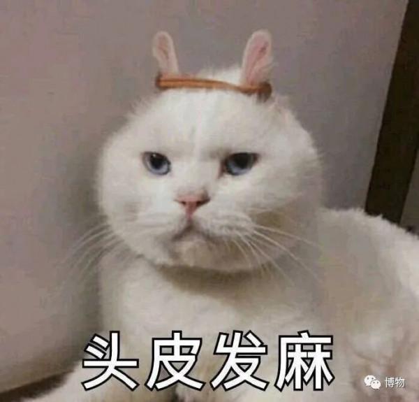 男子半夜突發羊角風，居然是因為腦子裡有蟲？