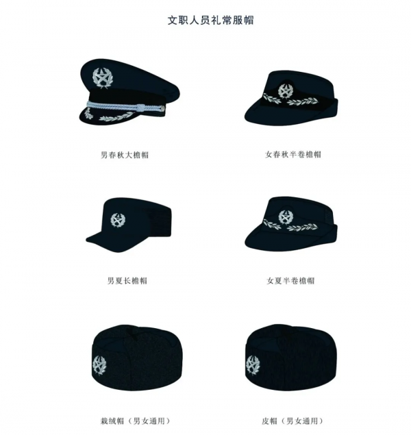 軍隊文職人員服飾與標誌大全,收藏版 軍隊文職人員服飾與標誌大全,收藏版