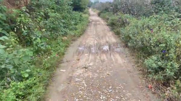 探訪唐太宗李世民的第3號陪葬墓，玉米地裡無人知