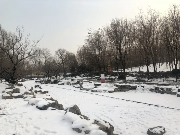 朝陽遊園推薦：大望京公園