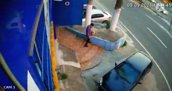 太暖心了，巴西懷孕流浪狗自行去診所求分娩，愛心醫生全程助力