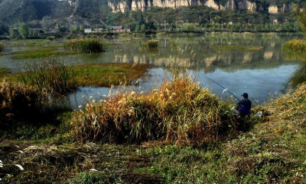 水草中藏著那麼多條魚，學會這三種方法，我就不信魚兒不咬鉤