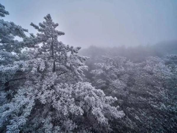 絕美！寒潮催生靈山“凍人美景”！快來打卡冬日的醉美景色吧