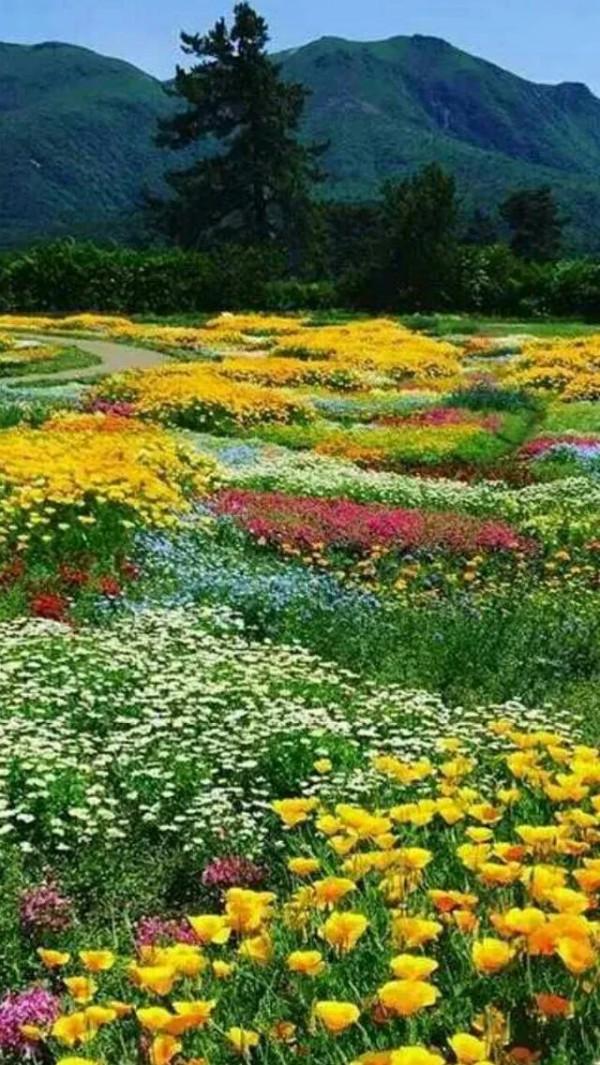 美呆的人間仙境