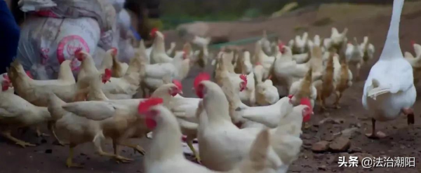 看完我愛上了「第一書記」