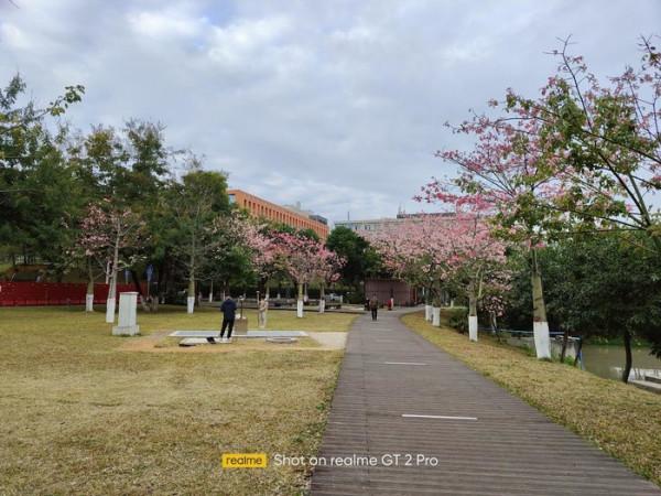 三款內外兼修的手機，看看它們如何獲得使用者的喜愛