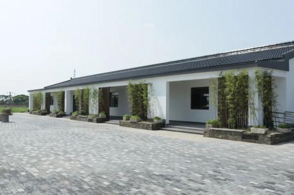 走,到練塘徐練村打卡去 走,到練塘徐練村打卡去