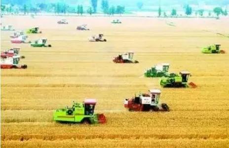 “空心村”怎麼振興？沒有農民的鄉村，何來的鄉村振興？