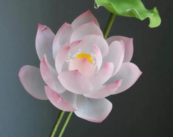 《道德經》高人，反其道而行之，無知，無慾，無求，故，有所成