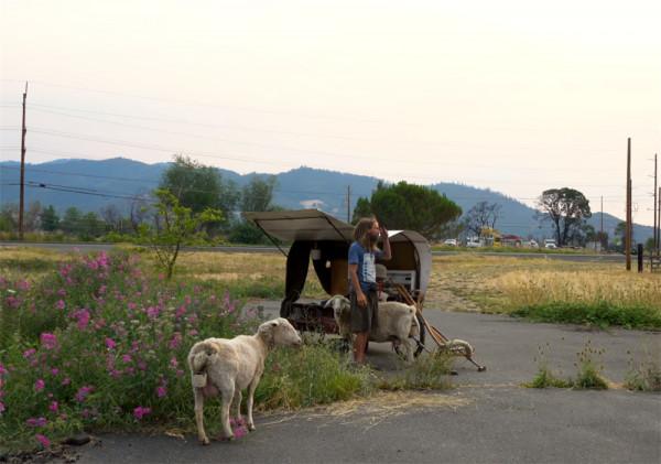 他住在2㎡破舊三輪車中，養4只羊為伴，邊牧羊邊流浪轉眼已過12年