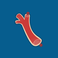 鴨血、豬血、雞血到底髒不髒?能不能補血? 鴨血、豬血、雞血到底髒不髒?能不能補血?