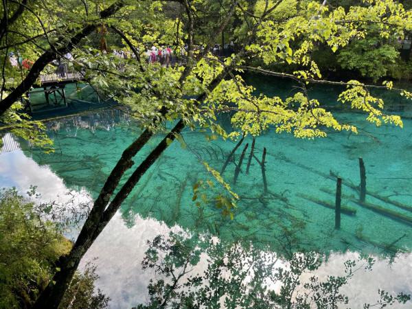 成都+九寨溝+黃龍4日3晚旅遊 成都+九寨溝+黃龍4日3晚旅遊