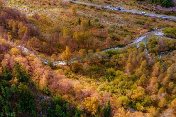 這樣的秋天你見過嗎？