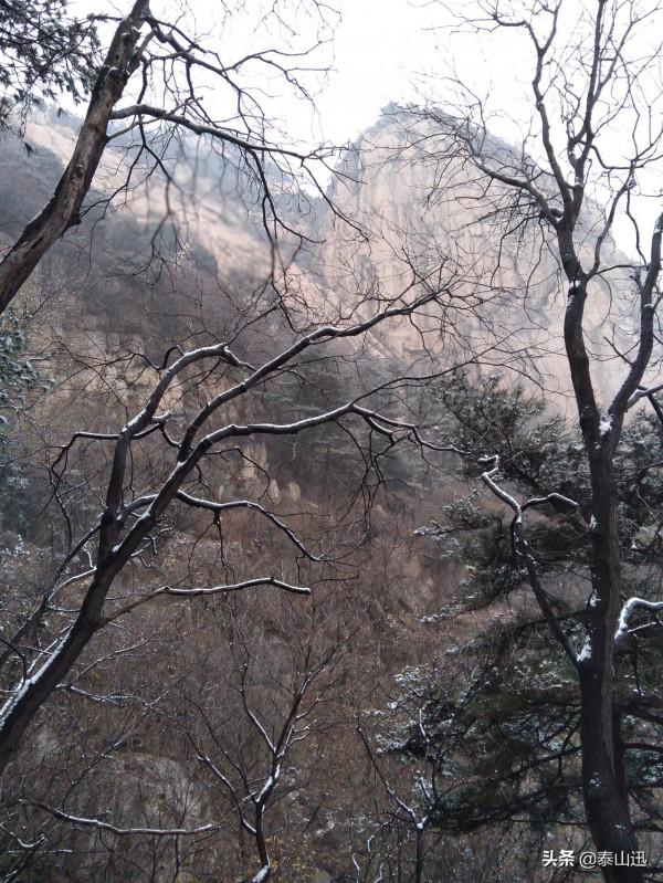 驢行泰山之初雪獨行
