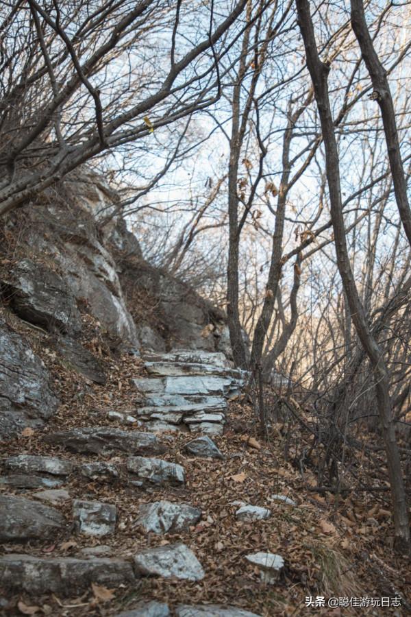 北京徒步登山：房山藥王谷環穿，三水步道泗馬溝段，灌木叢段太野