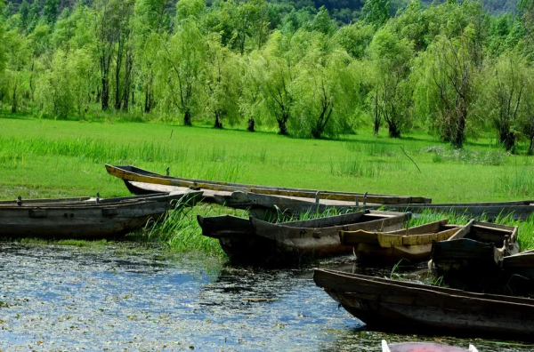 練太極如何放鬆？一文講透