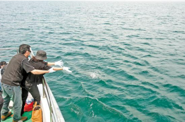 日本陷入“多死社會”,5100座火葬場人滿為患,遺體都住起旅館? 日本陷入“多死社會”,5100座火葬場人滿為患,遺體都住起旅館?