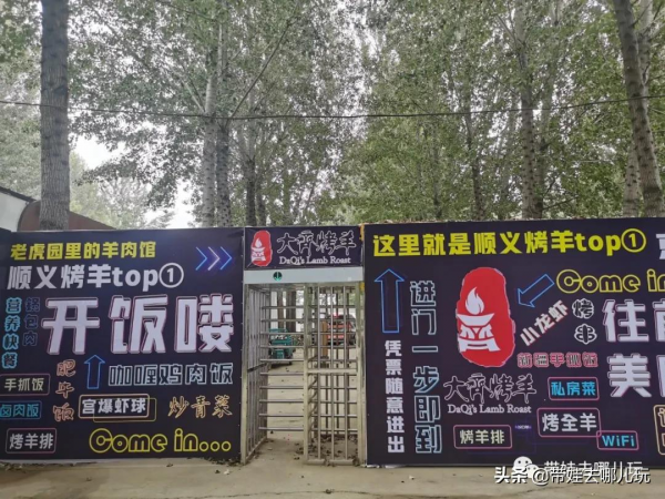 北京新開一家動物園,可以和老虎共進午餐 北京新開一家動物園,可以和老虎共進午餐