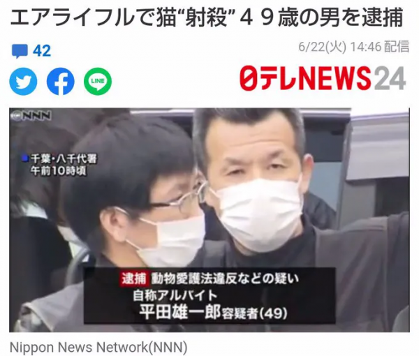 日本男3年虐殺近100只貓，被捕後毫無悔意：控制不住虐貓的愉悅