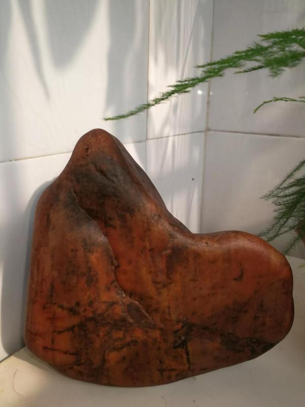 灤河藝術石鑑賞（1）