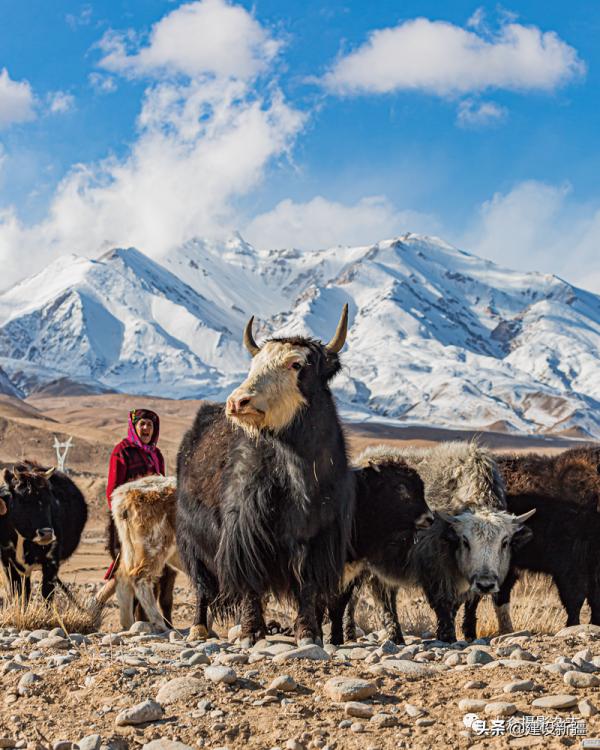 發現新疆之重 發現新疆之重