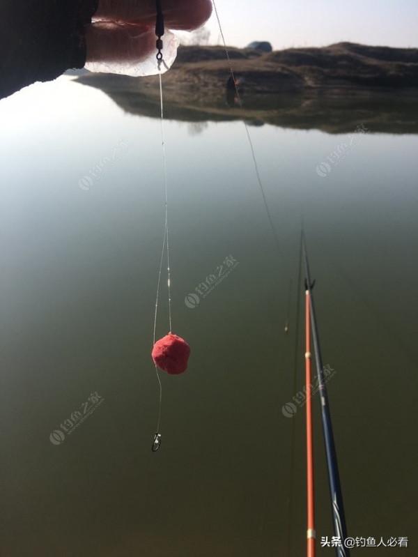 再釣鰱鱅，遇見小雜魚搶窩子，怎麼辦？