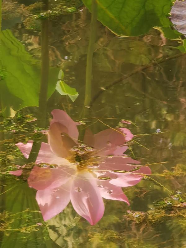 步入圓明園西區 皇帝的寢室