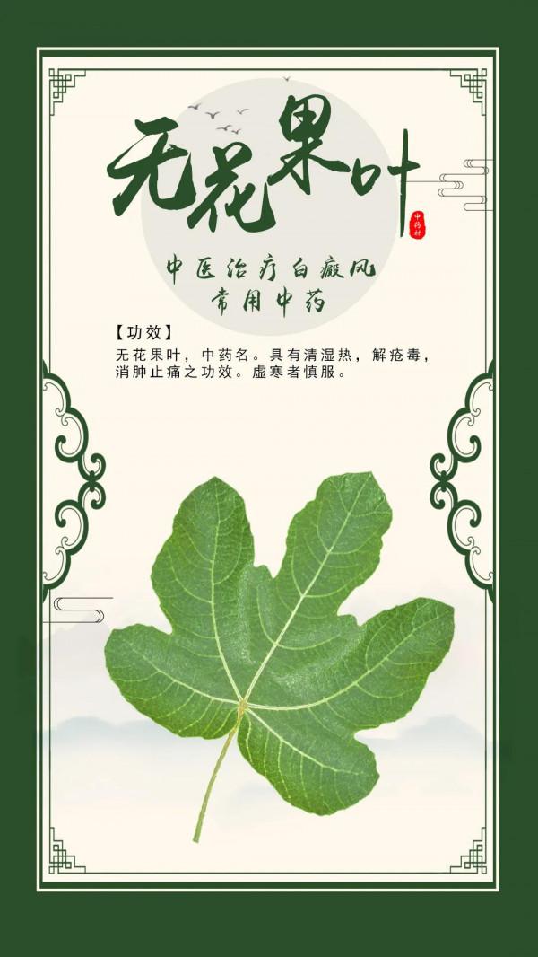 中醫治療白癜風的常用中藥