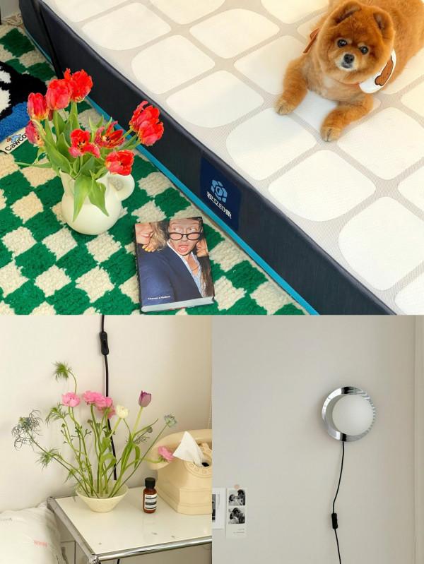 只有我每天都想宅家嗎？