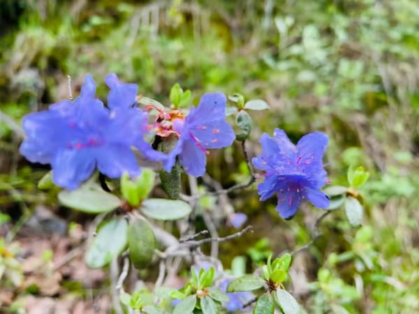 一個人，即將轉運的徵兆：摒棄這四心態