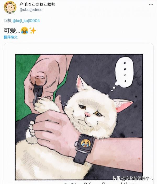 日本17歲高齡的貓咪剪指甲時委屈兮兮，感覺下一秒就要哭出來了