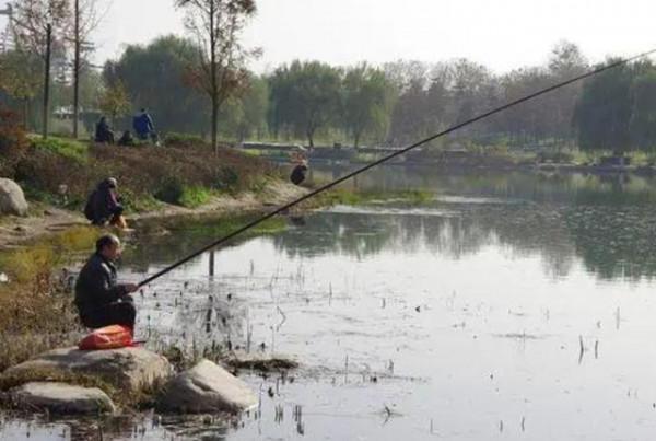 冬天越冷，魚就越不好釣？教你怎麼爆連大板鯽
