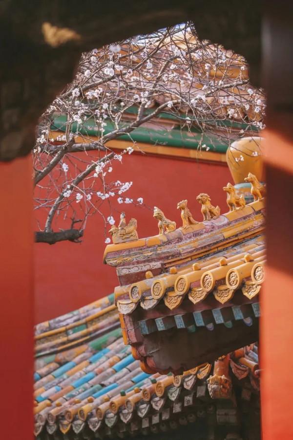 60歲前必去的35個地方，去過15個才不枉此生，你去過幾個？