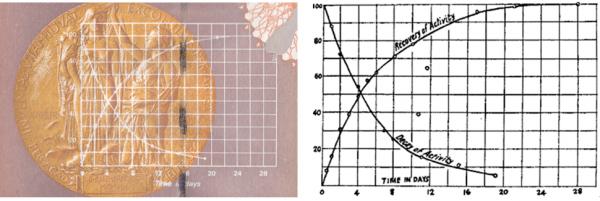 我不是在數錢,我只是在學習原子物理學史 我不是在數錢,我只是在學習原子物理學史