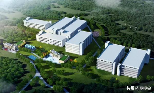 養豬巨頭紛紛開始“樓房養豬”,未來它還能從哪幾方面做好最佳化? 養豬巨頭紛紛開始“樓房養豬”,未來它還能從哪幾方面做好最佳化?