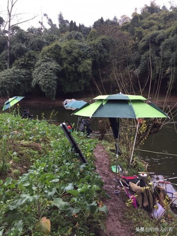 冬天釣鯽魚的技巧分享