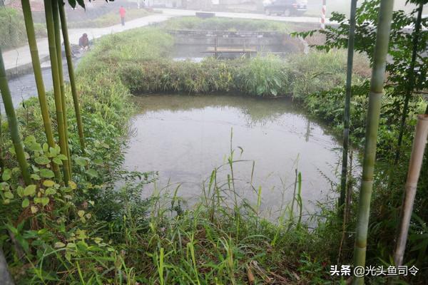 釣魚人有多瘋狂？釣的魚太多送不出去，挖了個魚塘後更迷茫