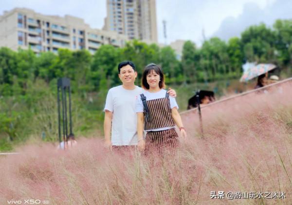 金秋與粉黛亂子草來一場夢幻的邂逅 金秋與粉黛亂子草來一場夢幻的邂逅